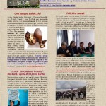 NEWS LETTER 12 (453x640).jpg